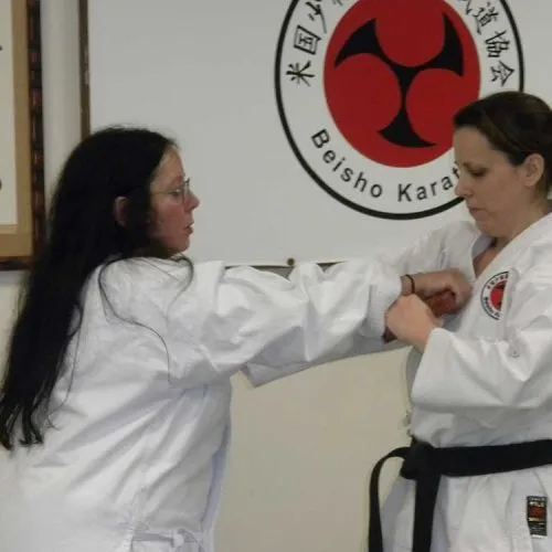 Ladies Self Defense Clinic – November 2025