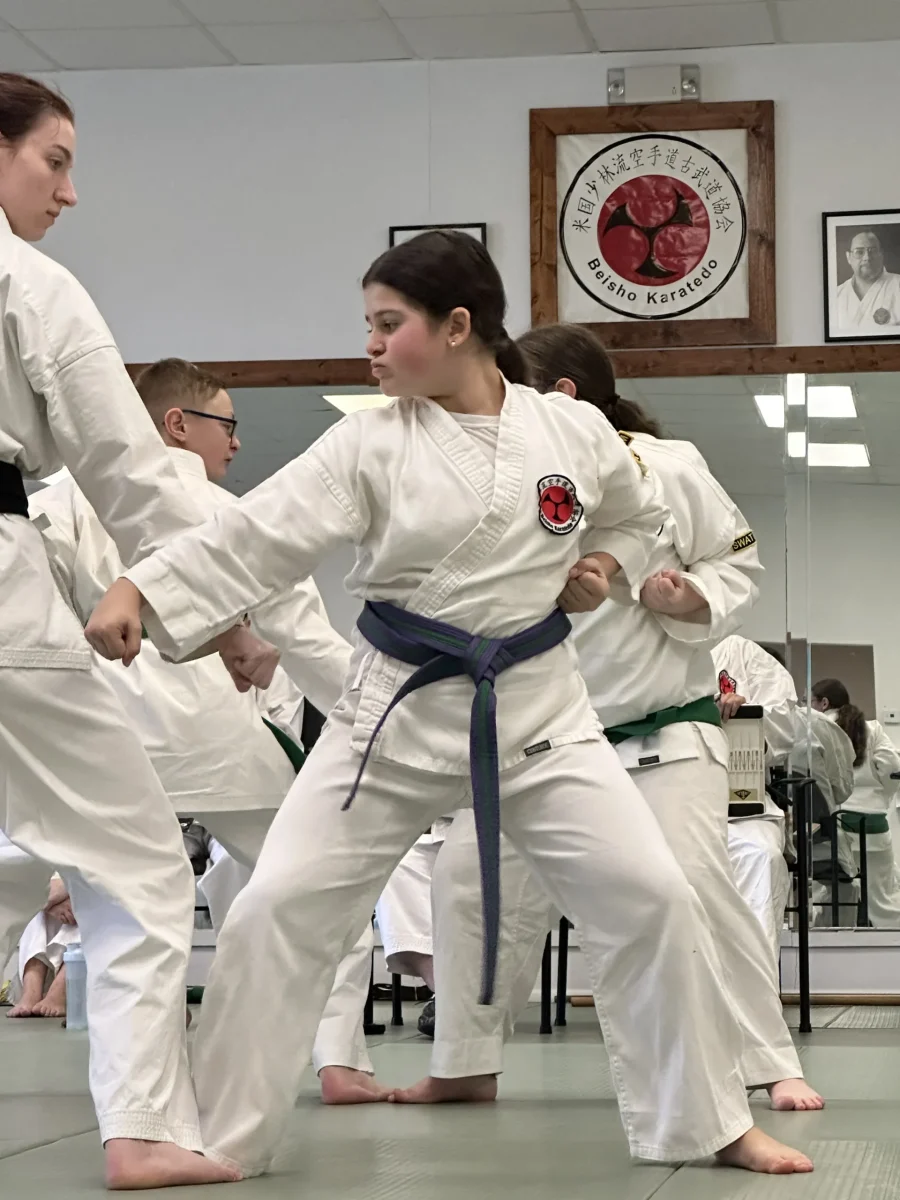 young girl participating in kids karate classes